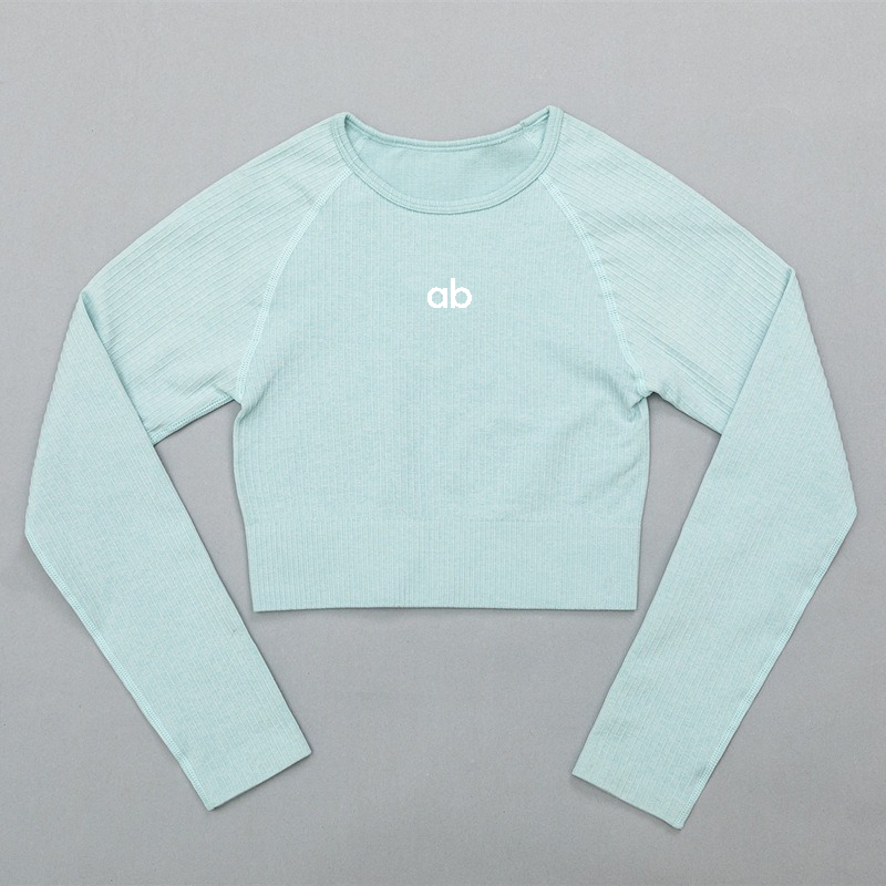 Home Gym Yoga - Women Ribbed Seamless Long Sleeve Crop