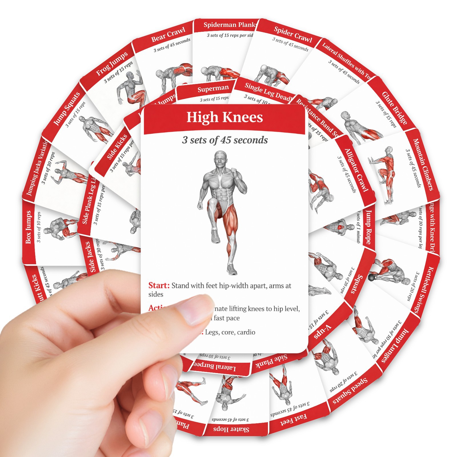 36Pcs Full Body Fat Burning Wo - Home Gym Routine 评论和价格
