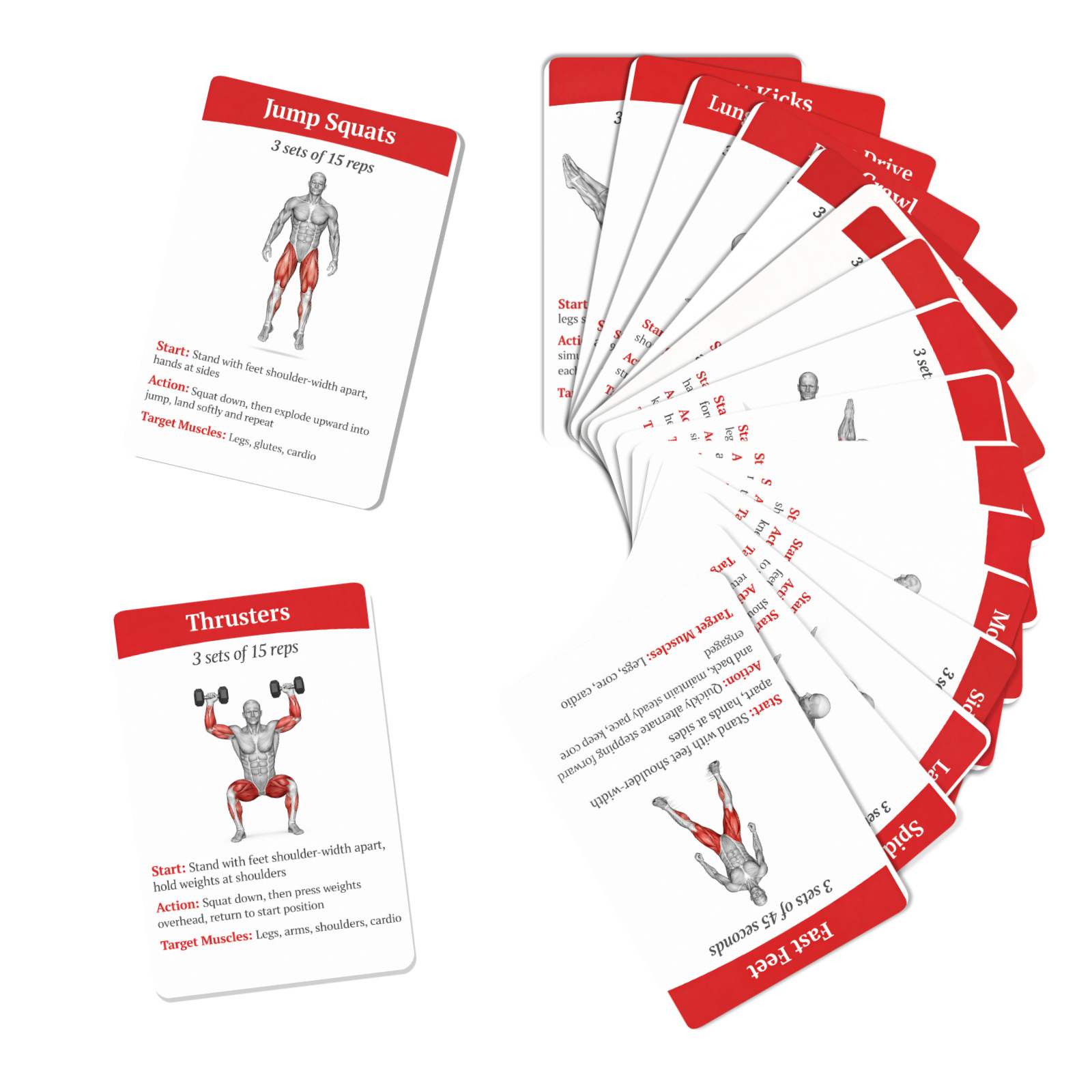 36Pcs Full Body Fat Burning Wo - Home Gym Routine 评论和价格